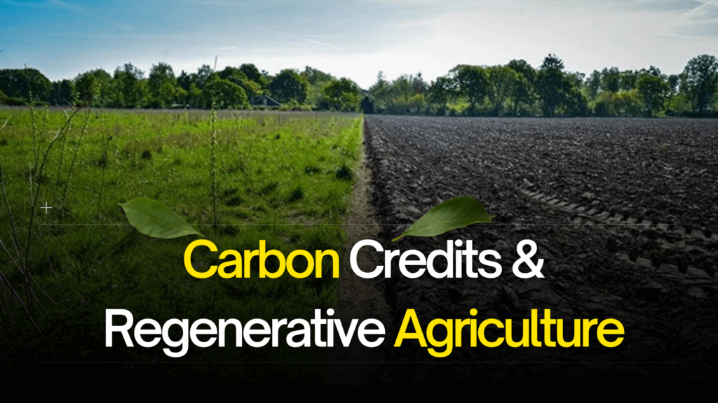 Carbon Credits & Regenerative Agriculture