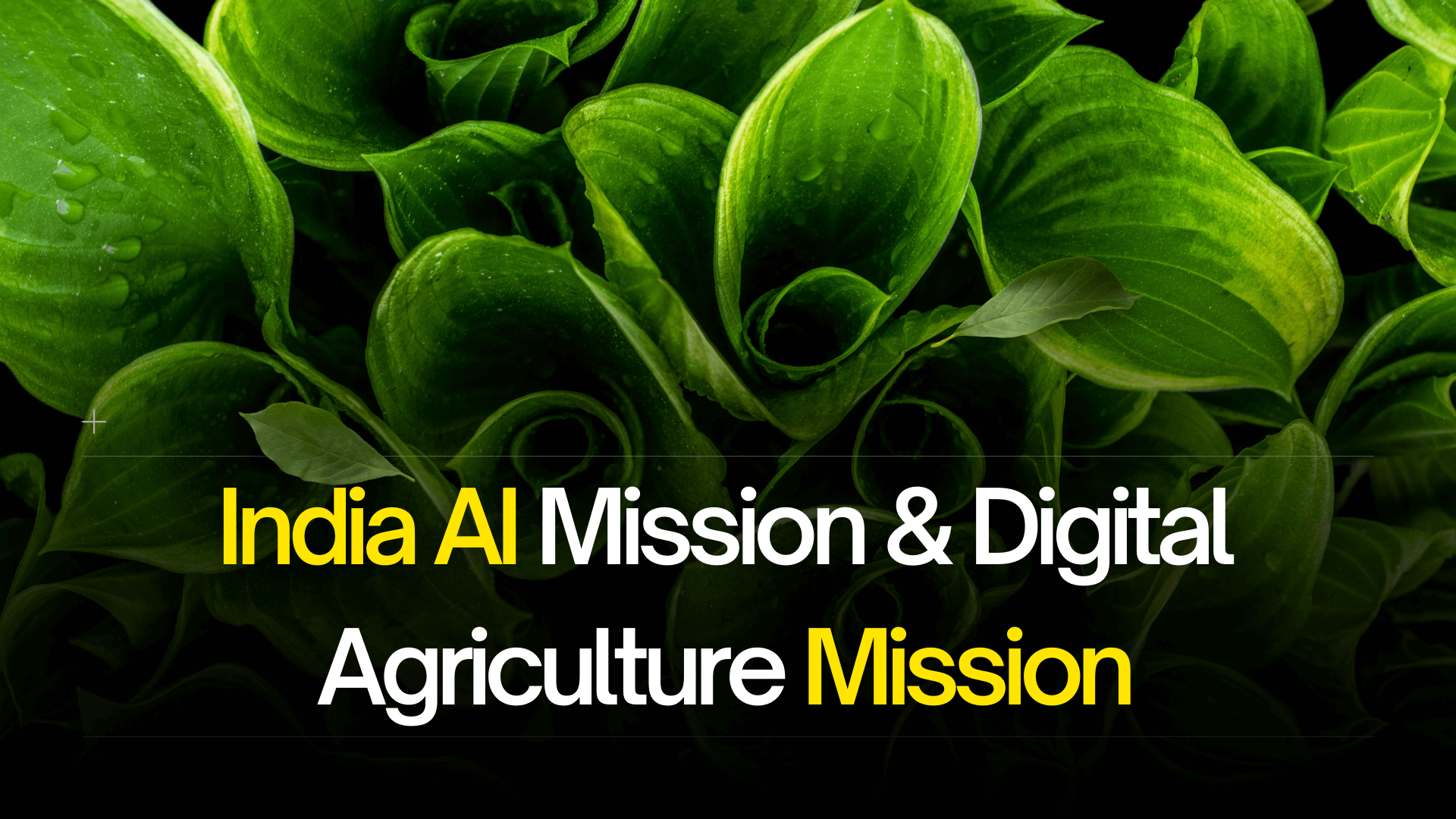 India AI Mission & Digital Agriculture Mission