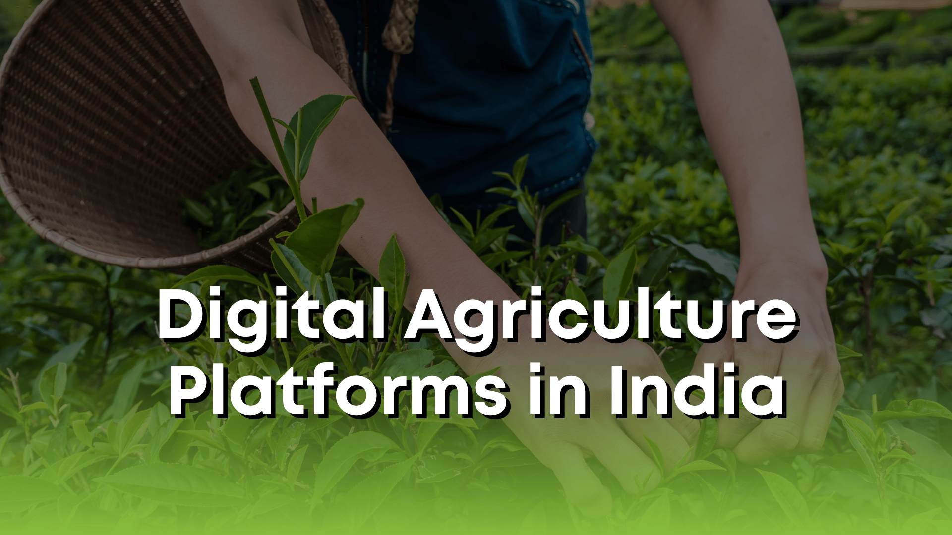 Digital Agriculture Platforms in India